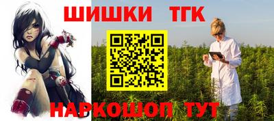 шишки Камышлов
