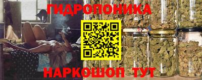 шишки Камышлов