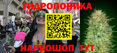 гашиш Канаш